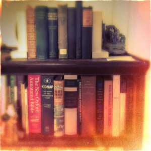 family room bookshelf
